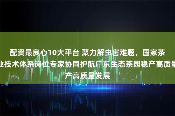 配资最良心10大平台 聚力解虫害难题，国家茶叶产业技术体系岗位专家协同护航广东生态茶园稳产高质量发展